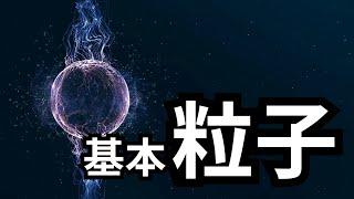 宇宙中最小的粒子，基本粒子 | 爱丽丝与兔子洞 Alice & Rabbit Hole