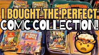 I Bought the PERFECT Comic Collection! (All My Favorite Stuff!)