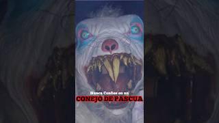 Nunca Confíes en el Conejo de Pascua 🪚