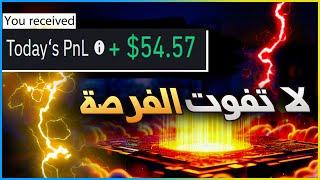 كيف حققت ارباح 54.57$ دولار فى يوم واحد فقط | الربح من الانترنت 2024