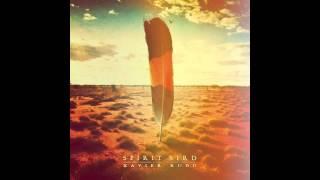 Xavier Rudd - Spirit Bird (audio HQ)