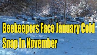 Beekeepers Face January Cold Snap In November