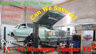 1979 Mercury Cougar XR7 Saved from the JUNKYARD! Part 2