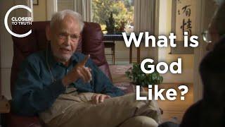 Huston Smith - What is God Like?