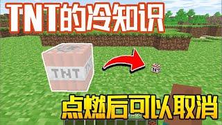 Minecraft：我的世界冷知识：TNT点燃后也可以取消收回！