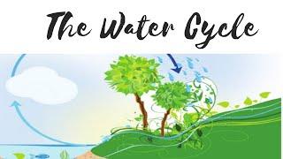 The Water Cycle | Poem | English Alive Coursebook