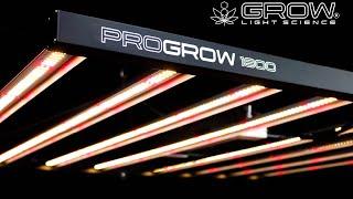 Best value grow light on the market | PROGROW 1800 LED grow light PAR test and review