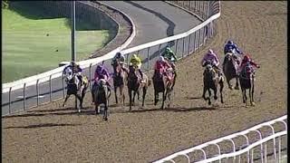 20200318 Hollywoodbets Greyville Express Clip Race 6 won by NOT NOW PUSSYCAT