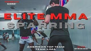 SKILLED TECHNICAL MMA SPARRING FT/Tresean Gore (4K)  #boxing #muaythai #mma #sparring #kickboxing