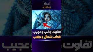 دانستنی جالب قطب شمال و قطب جنوب: بررسی تفاوت‌ها و ویژگی‌های دو دنیای یخی | اسرار پنهان