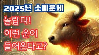 2025년 소띠운세 놀랍다! 이런 운이 들어온다고?