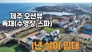 제주 단독주택(수영장,스파 설치) 1년 살이 임차인 구함.