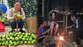 Harvesting produce: oranges from the garden to the market stall, tending livestock and poultry