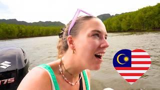 You Won’t Believe the WILDLIFE we found in MALAYSIA  (Langkawi Island)