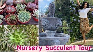 Succulent Shopping / Succulent Nursery Garden Tour / Succulent Greenhouse Tour / December 30, 2020