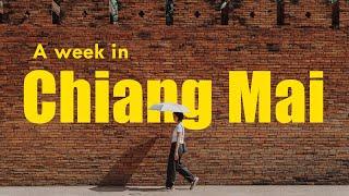 A week in Chiang Mai | lantern festival, cafe hopping and city walk