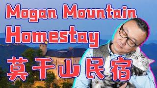 Mogan Mountain Homestay 莫干山民宿 ｜旅游胜地｜Travel｜Zhejiang｜浙江｜Songyang｜松阳｜Tourism｜中国旅游