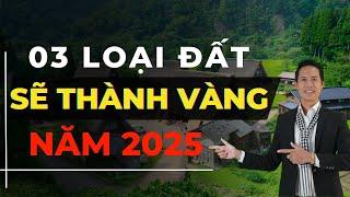 03 loại đất trở thành vàng khi luật đất đai mới thực thi năm 2025 | Hiệp Bất Động Sản Official