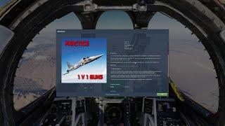 DCS F-14A - "Zone 5" Mission, by Reflected Simulations - Dogfight