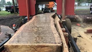 Timberking b-20 sawmill cutting Live Oak