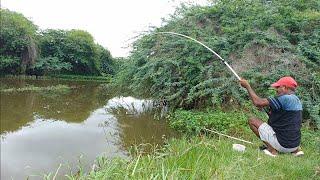 Best Float Fishing Technique|Fishing For Wallago&Tilpaia To CatchWith ChickenIntestne|Unique Fishing