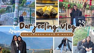 Darjeeling Vlog part -1 | Darjeeling in December | 1st trip after Job | #darjeeling