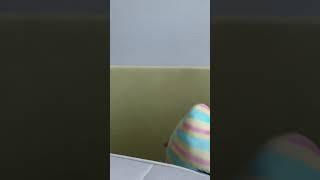 절대닝코 소개