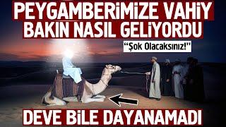 Peygamberimize Vahiy Bakın Nasıl Geliyordu. Resmen Şok Oldum! Deve Bile Dayanamadı.