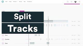 Split Tracks: A simple and affordable track option