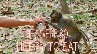 monkey julice seems very safe to them because theylike toeat sweet and they likethe