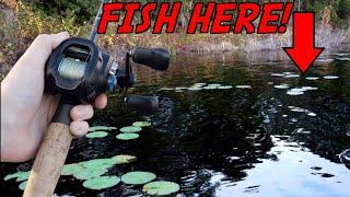 WATCH THIS Video Before Going Florida Bass Fishing!