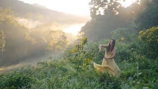 Life on a Small Farm Deep in the Rainforest: Magic, Sewing Clothes and Building Fences
