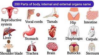 200 Parts Of Body | Listen And Practice | Basic Parts Of Body | Internal Body Parts#bodyparts