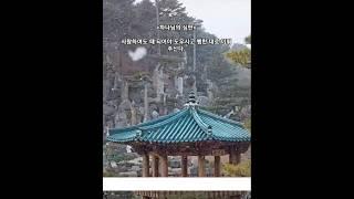 하나님의 심판 #월명동 #jms #정명석