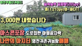 북안i.c초인근 아스콘포장도로접한 공짜땅까지 영천주말농장급매(1,213py)평당120,000만원[매물번호383]/영천부동산가이드/영천부동산