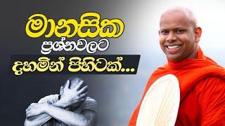 මානසික ප්‍රශ්නවලට දහමින් පිහිටක්... | Venerable Welimada Saddaseela Thero