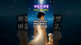 각자지닌 마음의 파동#innerpeace #자기수행 #relaxing #relax #nature #명상#수행#기도#공부