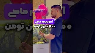 درآمد پرورش ماهی چقدره ؟  جوابش آخر ویدئو