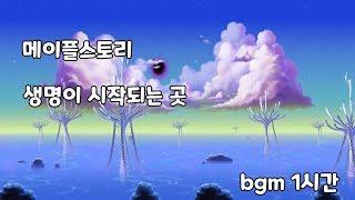 메이플스토리 생명이 시작되는 곳 bgm 1시간