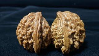 Chinese Wenwan Walnut