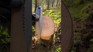 The BEST Folding Saw in the WORLD! #bushcraft #survival #outdoors #camping