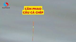 Cân phao câu cá chép - Kinh nghiệm bắt nhịp phao