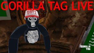 Gorilla tag live join the code rocket123