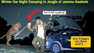 खतरनाक जंगल मैं कैंपिंग | Winter Car Night Camping In Forest of Jammu Kashmir | Camping in India