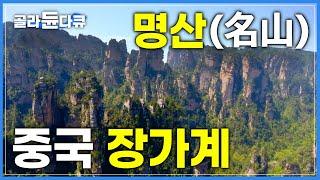 3000개가 넘는 봉우리가 만든 엄청난 절경! 중국의 장자제│아바타 촬영지 장가계│중국 소수민족 투자족│세계테마기행│#골라듄다큐