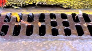 Stormwater Quality:  Inspection