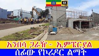 አንበሳ ጋራዥ- ኢምፔርያል ግዙፉ ኮሪዶር ልማት ግንባታዎች  ,    Addis Ababa walking Tour