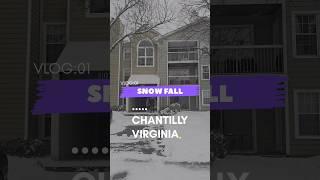 Scenic Snow fall in Chantilly VA ️ #snow #shorts #nature