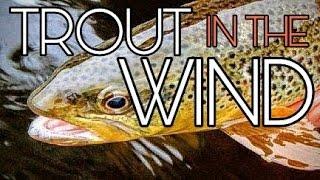 How to Fly Fish in the Wind w/ Nymphs - Small Stream Wild Brown Trout  Fishing