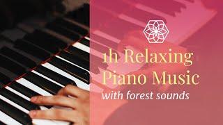 1 Hour Piano Relaxation Music with Nature Forest Sounds  - to bring harmony and calm